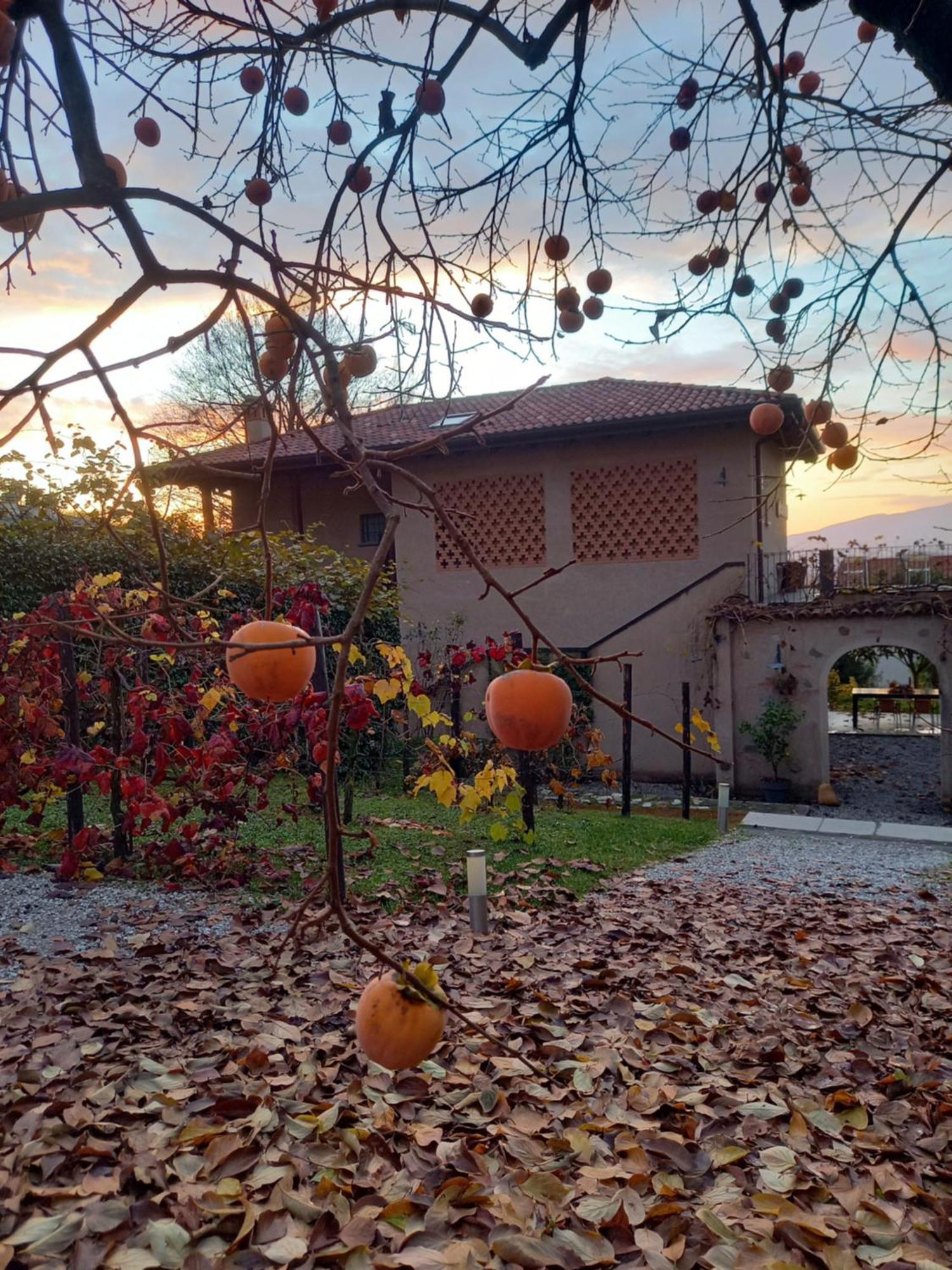 B&B Cascina La Cinciallegra Oggiono Luaran gambar